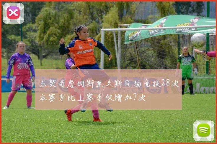 东契奇詹姆斯里夫斯同场竞技28次本赛季比上赛季仅增加7次