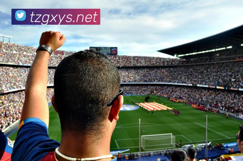 安博体app体育APP 高清赛事图